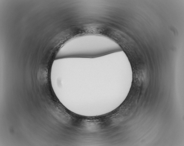 X0000110690556200907241106