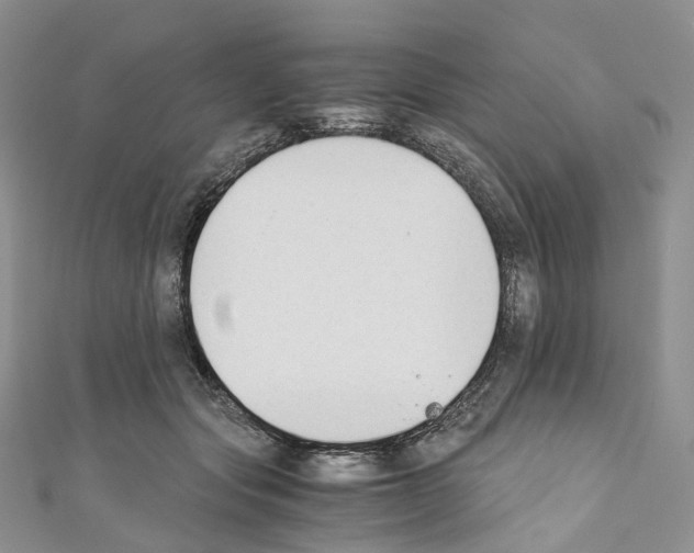 X0000110690557200907241106