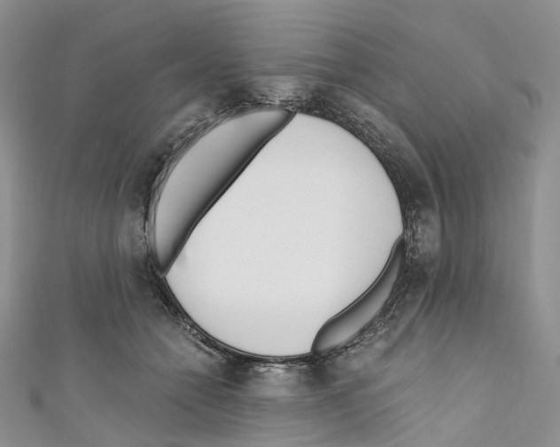 X0000110690558200907241106