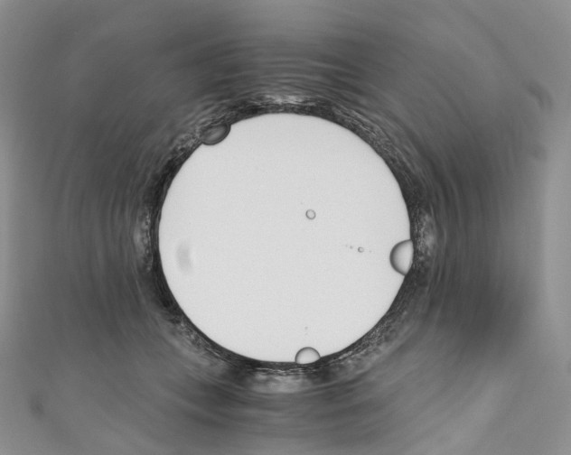 X0000110690559200907241106