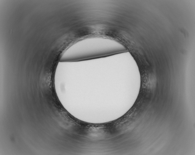 X0000110690560200907241106