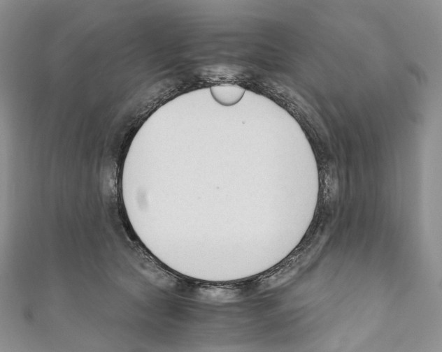 X0000110690561200907241106