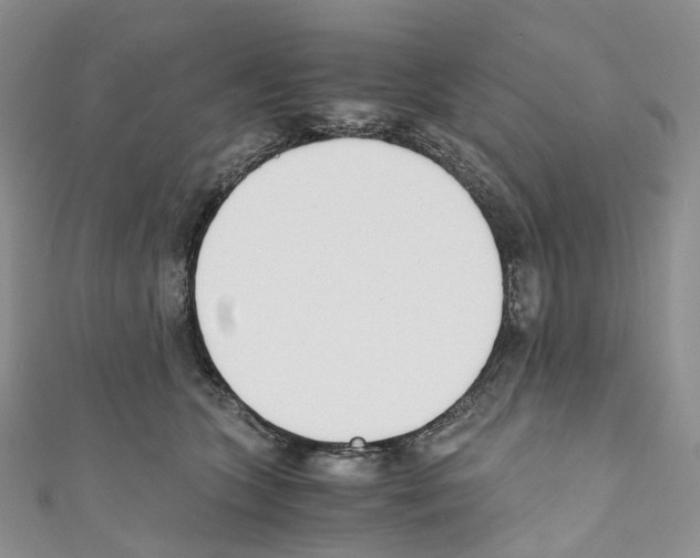 X0000110690563200907241106