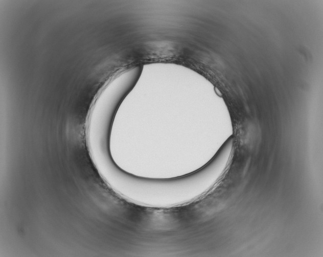 X0000110690564200907241106