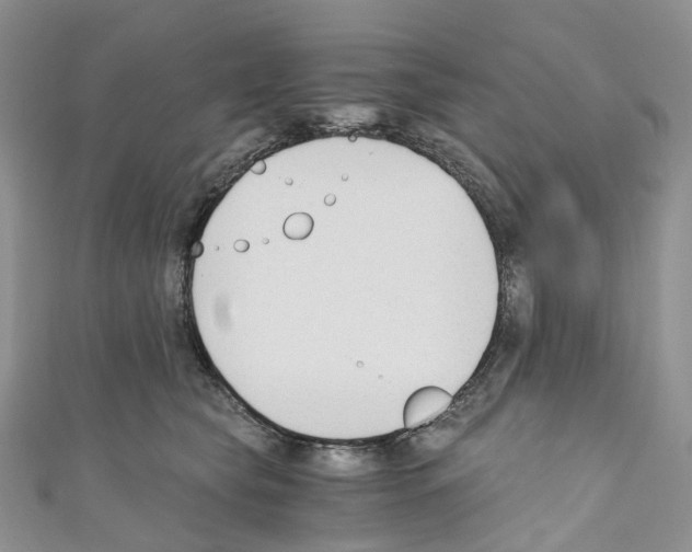 X0000110690565200907241106