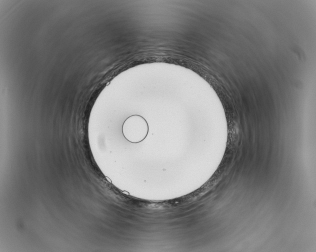 X0000110690566200907241106