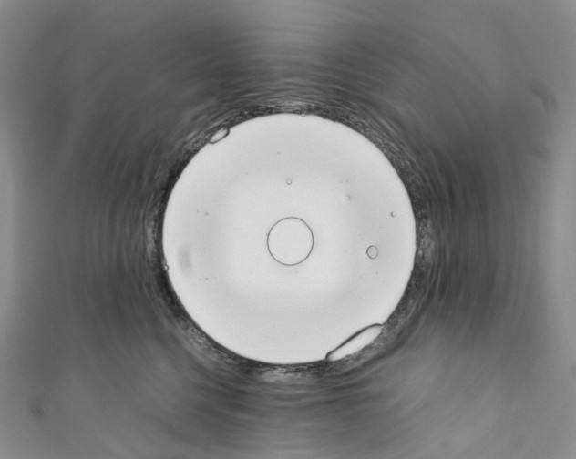 X0000110690568200907241107