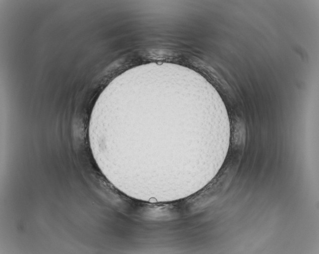 X0000110690569200907241107