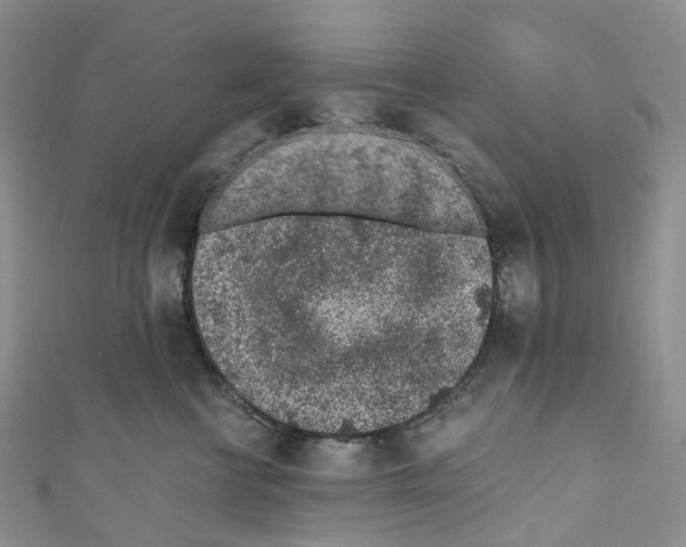 X0000110690570200907241107