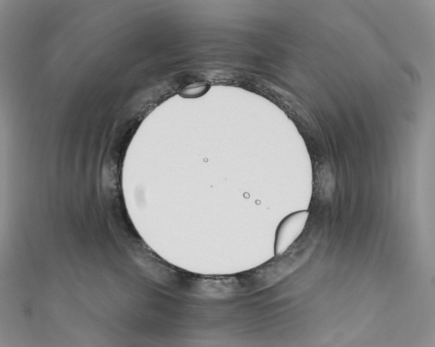 X0000110690571200907241107