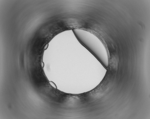 X0000110690572200907241107