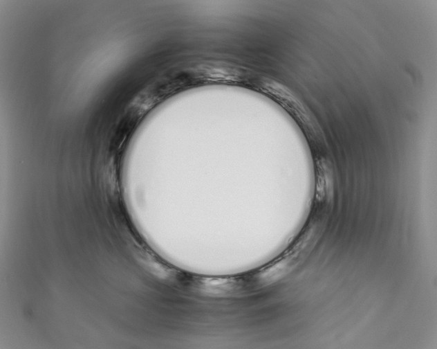 X0000110690573200907241107