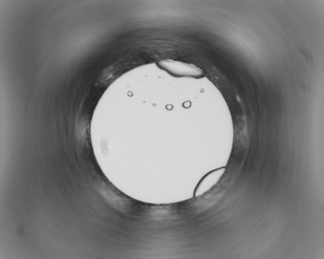 X0000110690574200907241107