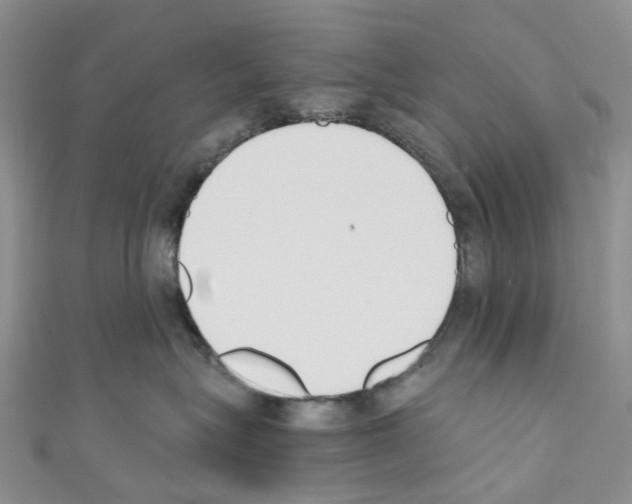 X0000110690575200907241107