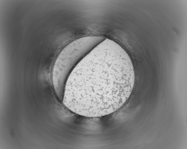 X0000110690576200907241107