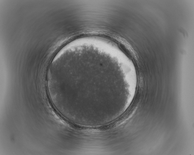 X0000110690577200907241106