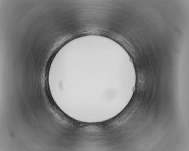 X0000110690578200907241106