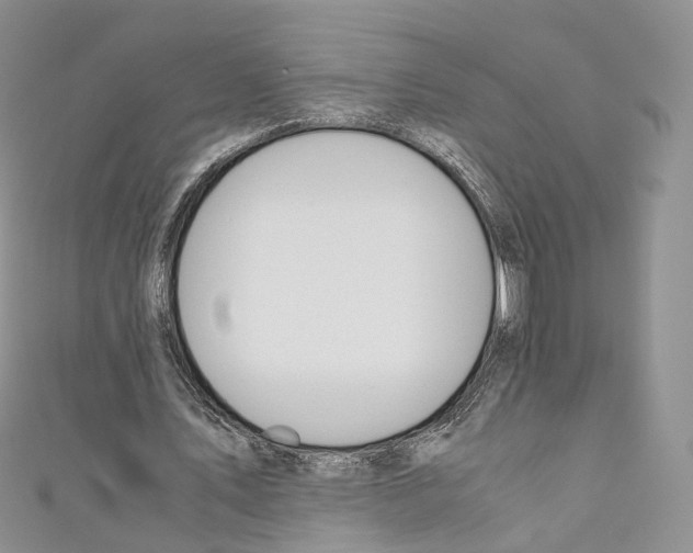 X0000110690579200907241106