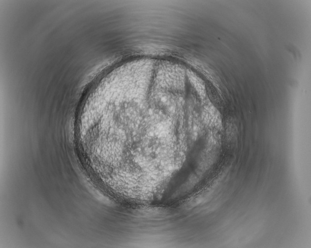 X0000110690581200907241106