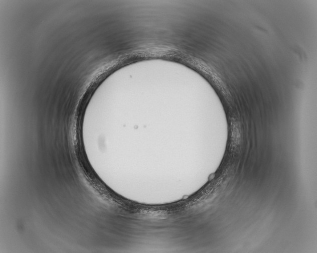 X0000110690582200907241106