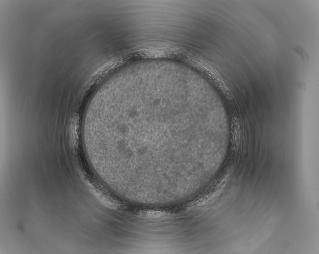 X0000110690590200907241106