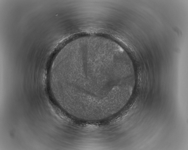 X0000110690592200907241106