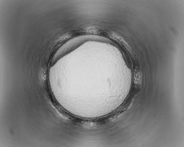 X0000110690593200907241106