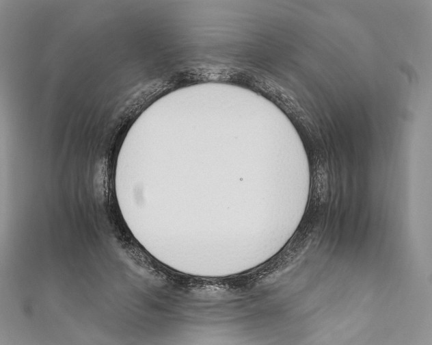 X0000110690594200907241106