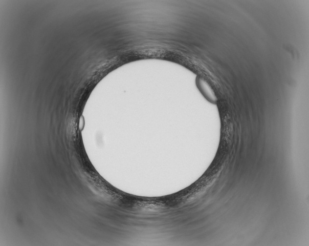 X0000110690597200907241106