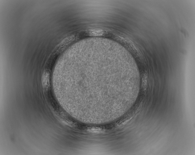 X0000110690598200907241106