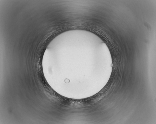 X0000110690599200907241106