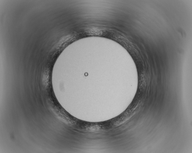 X0000110690600200907241106