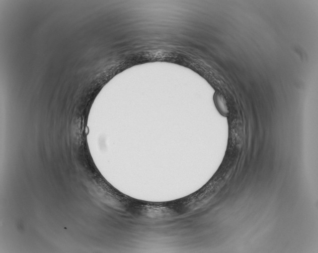 X0000110690605200907241106