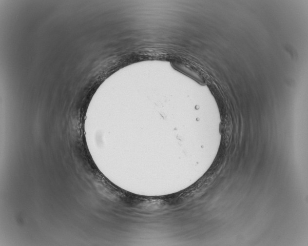 X0000110690609200907241106