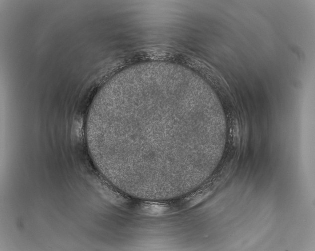 X0000110690610200907241106