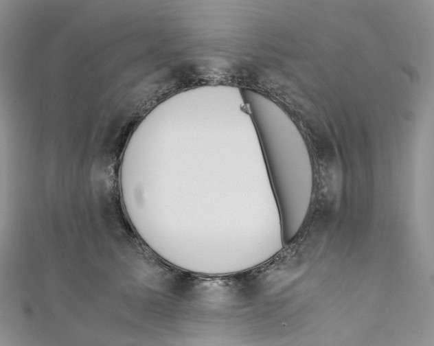 X0000110690611200907241106