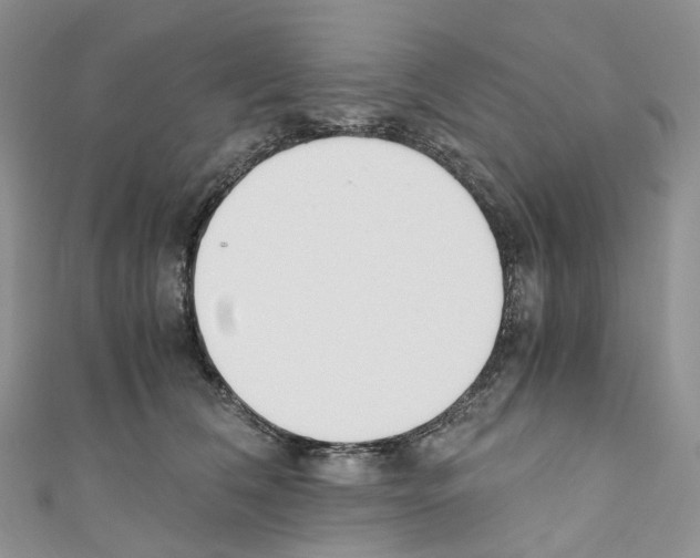 X0000110690612200907241106