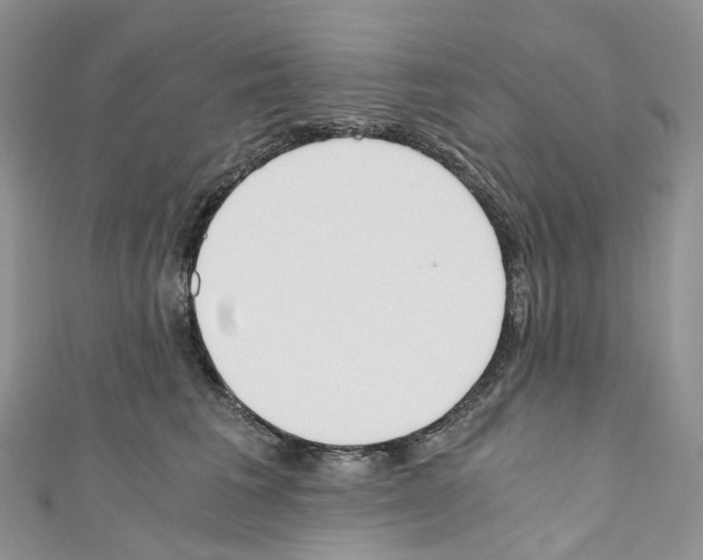 X0000110690613200907241106