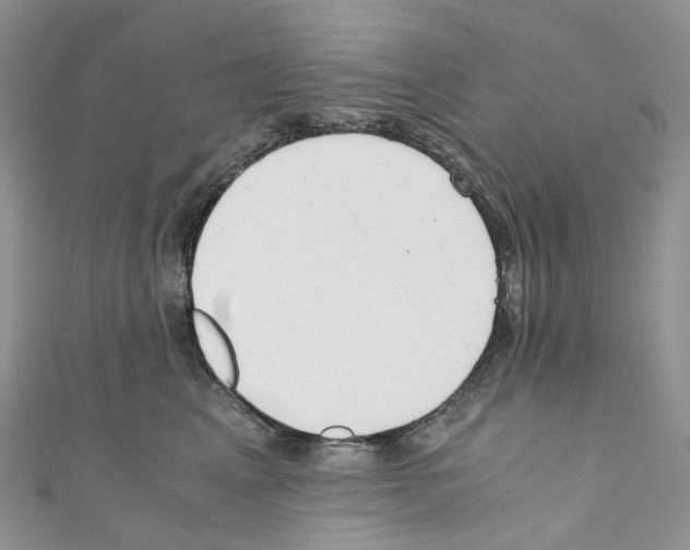 X0000110690617200907241105