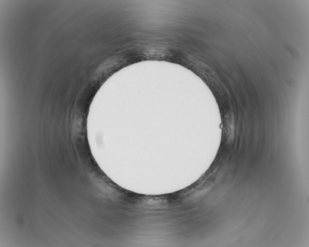 X0000110690619200907241105