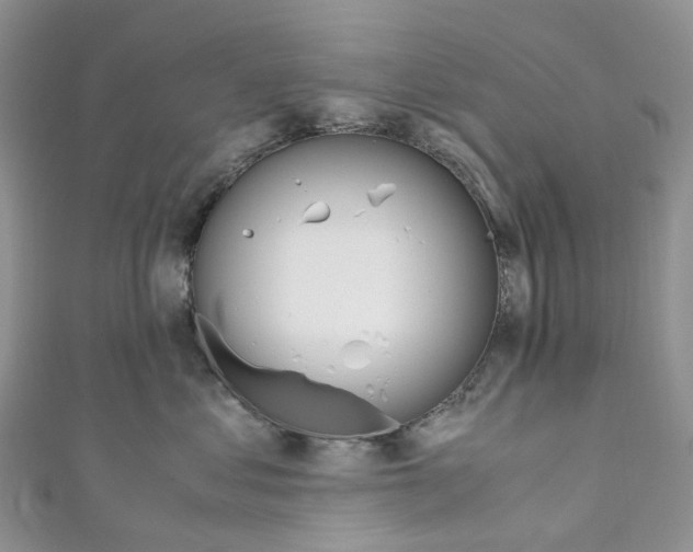 X0000110690621200907241105