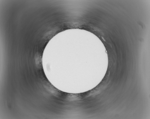 X0000110690624200907241105