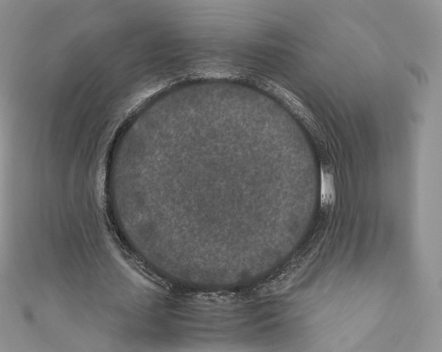 X0000110690627200907241105