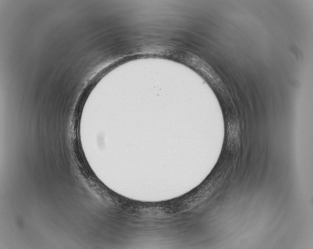 X0000110690628200907241105