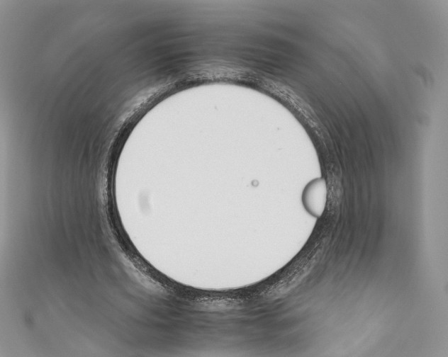 X0000110690629200907241105