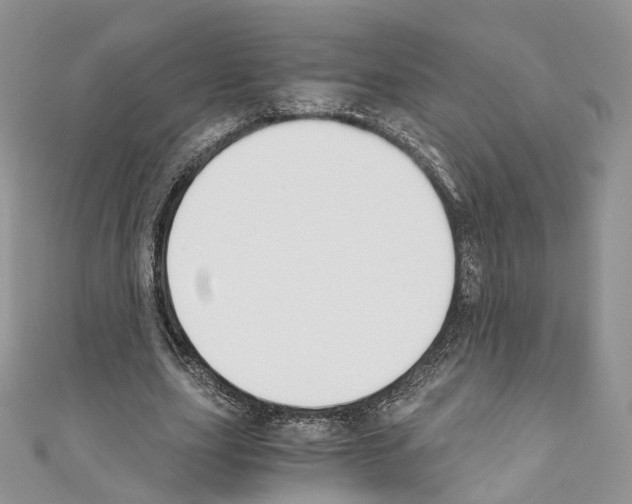 X0000110690631200907241105