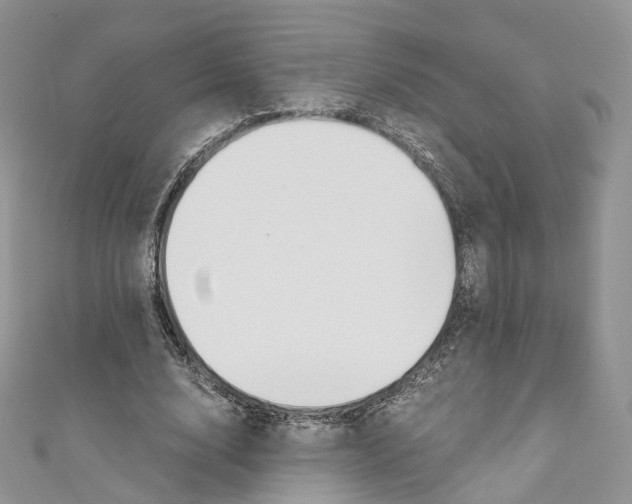 X0000110690632200907241105