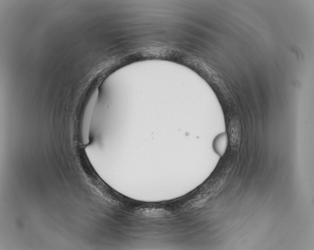 X0000110690637200907241105