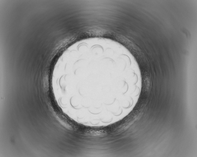 X0000110690638200907241105