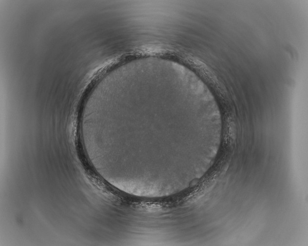 X0000110690640200907241105